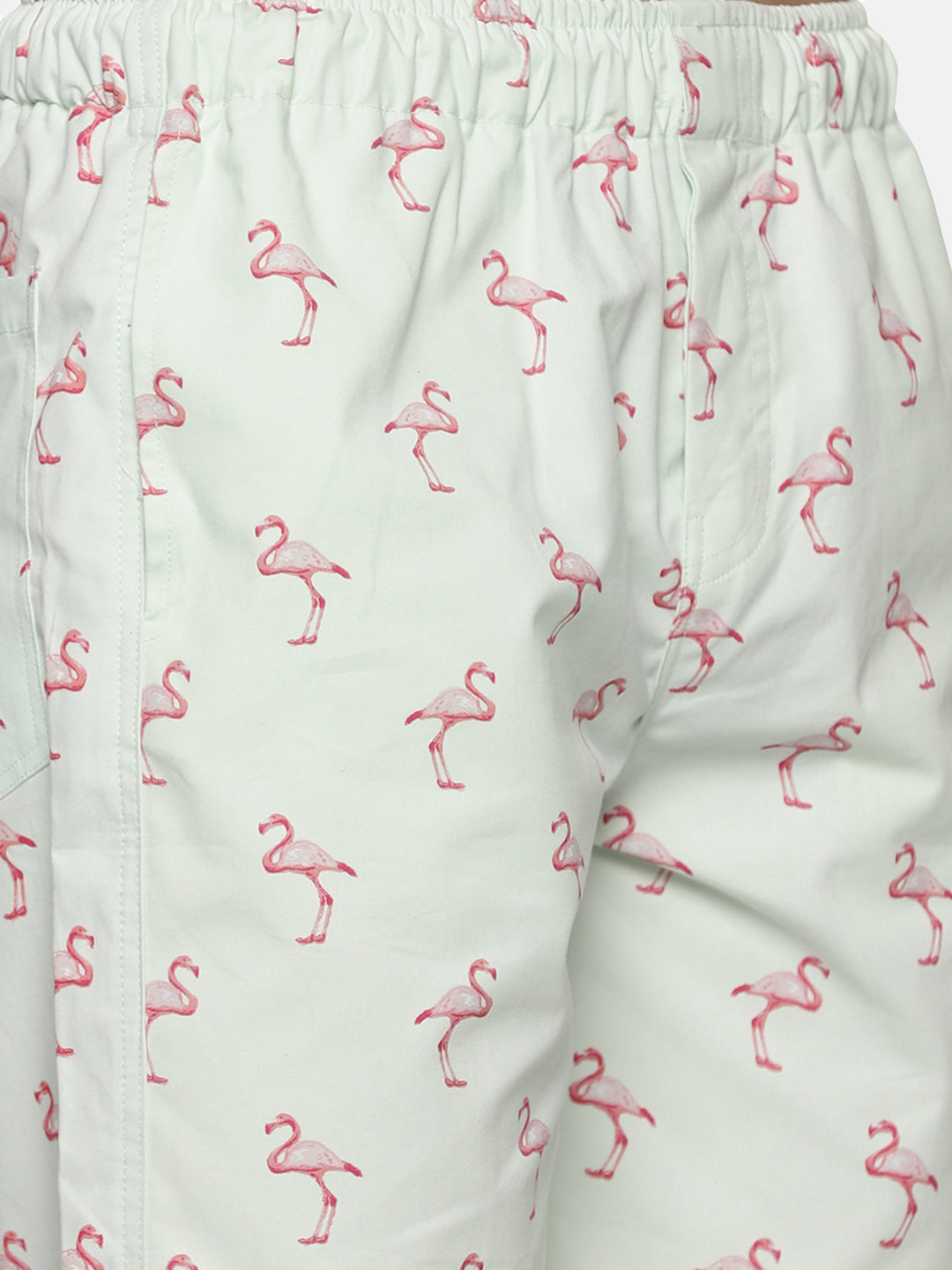 Coastal Men's Flamingo Printed Shorts - Tusok