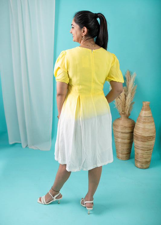 Goldfish Women Dress