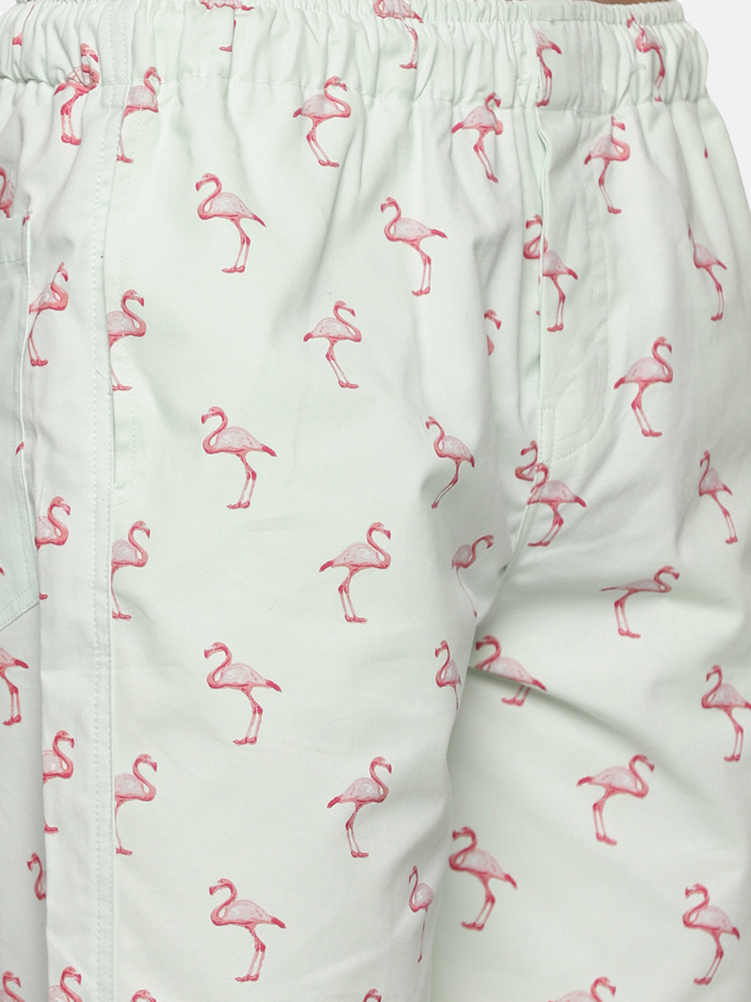 Coastal Men's Flamingo Printed Shorts